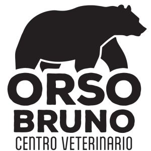 orso-bruno