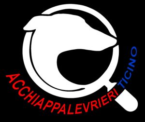 whatsapp-image-2025-08-31-at-17.09.43